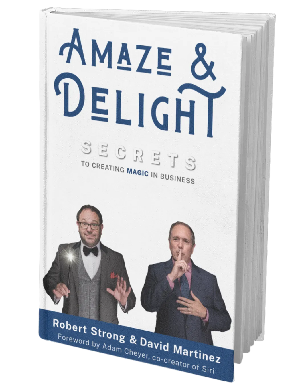 (image for) Robert Strong & David Martinez - Amaze & Delight - Secrets to Creating Magic in Business