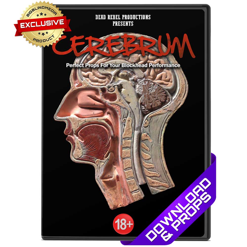 (image for) Dead Rebel - Cerebrum (Video)