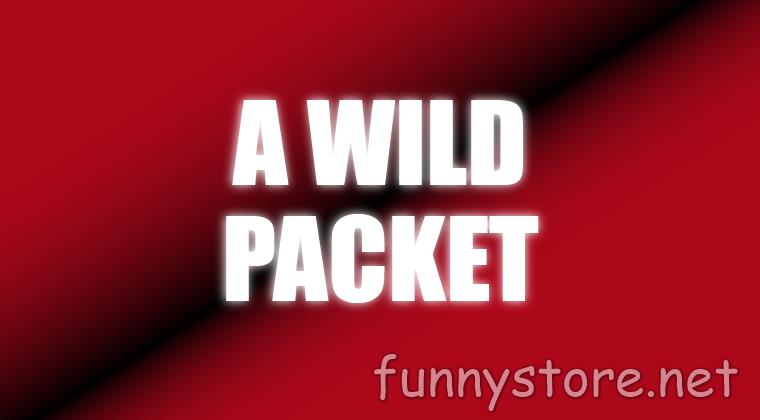 (image for) Craig Petty - A Wild Packet (Netrix)