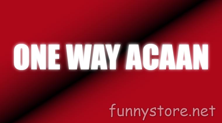 (image for) Craig Petty - One Way ACAAN (Netrix)