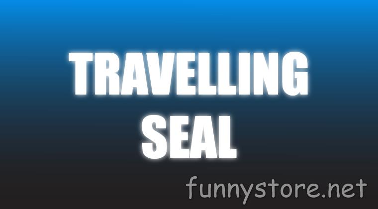 (image for) Craig Petty - Travelling Seal (Netrix)