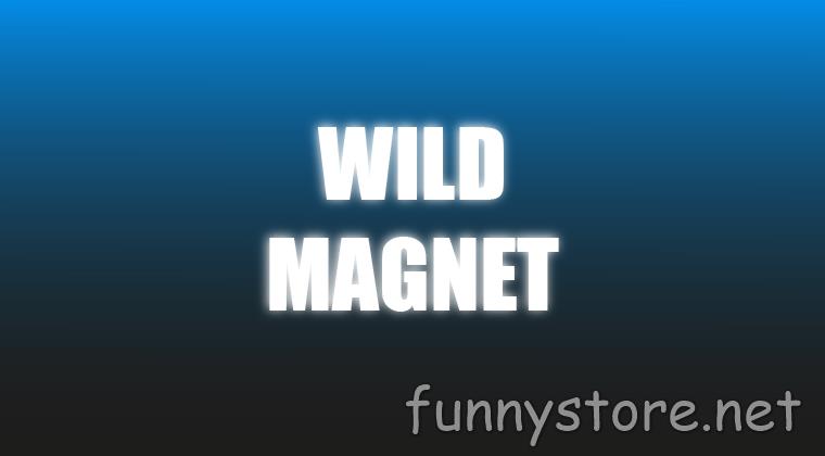 (image for) Craig Petty - Wild Magnet (Netrix)
