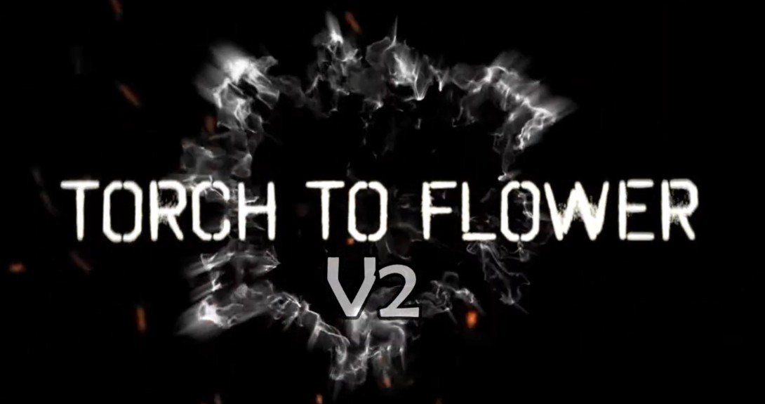 (image for) Imaying - Torch to Flower V2