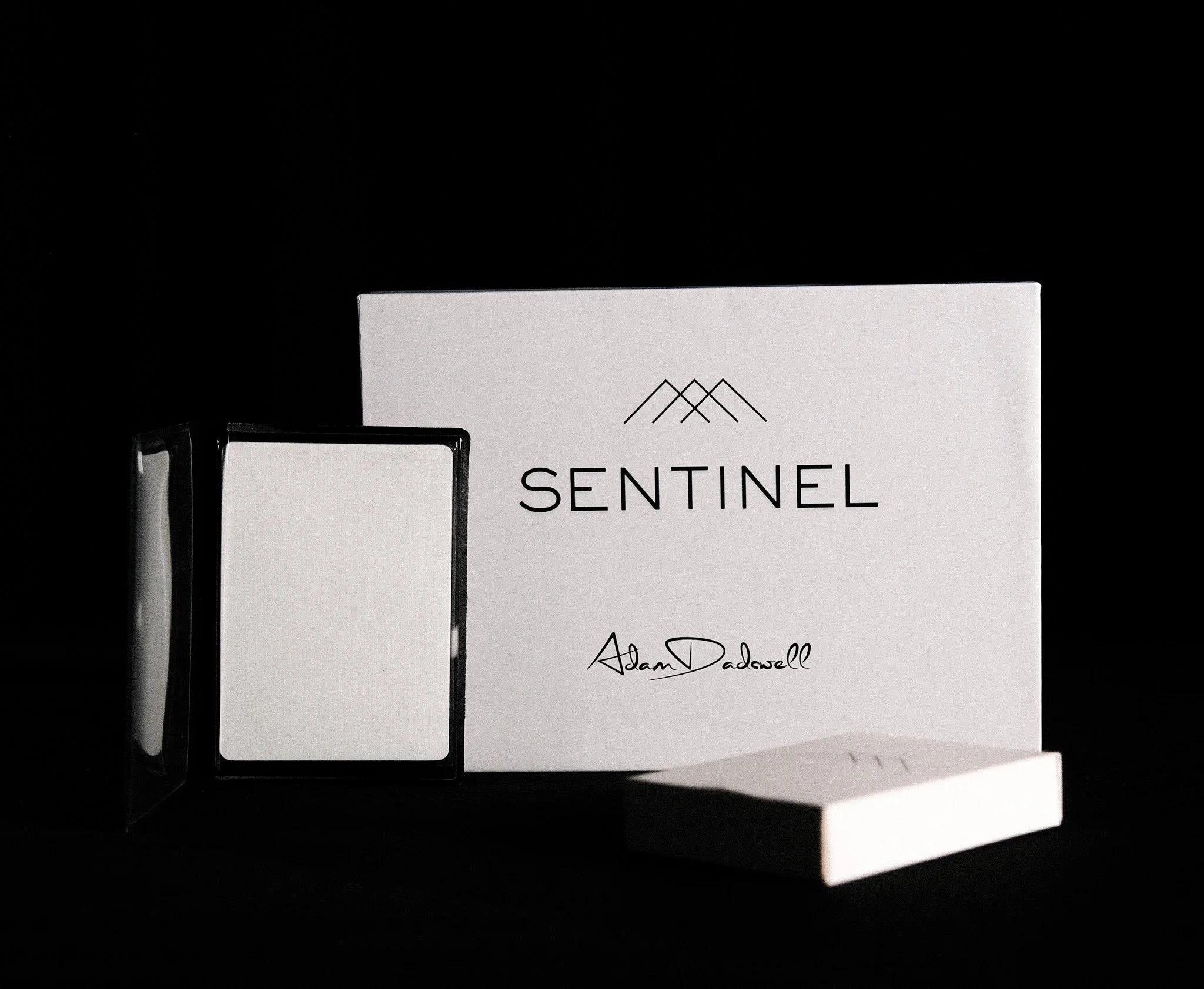 (image for) Adam Dadswell - Sentinel