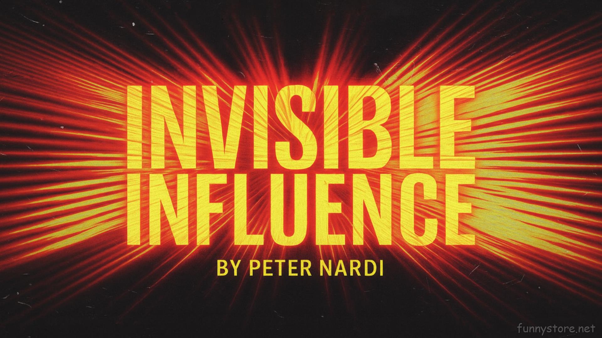 (image for) Peter Nardi - Invisible Influence
