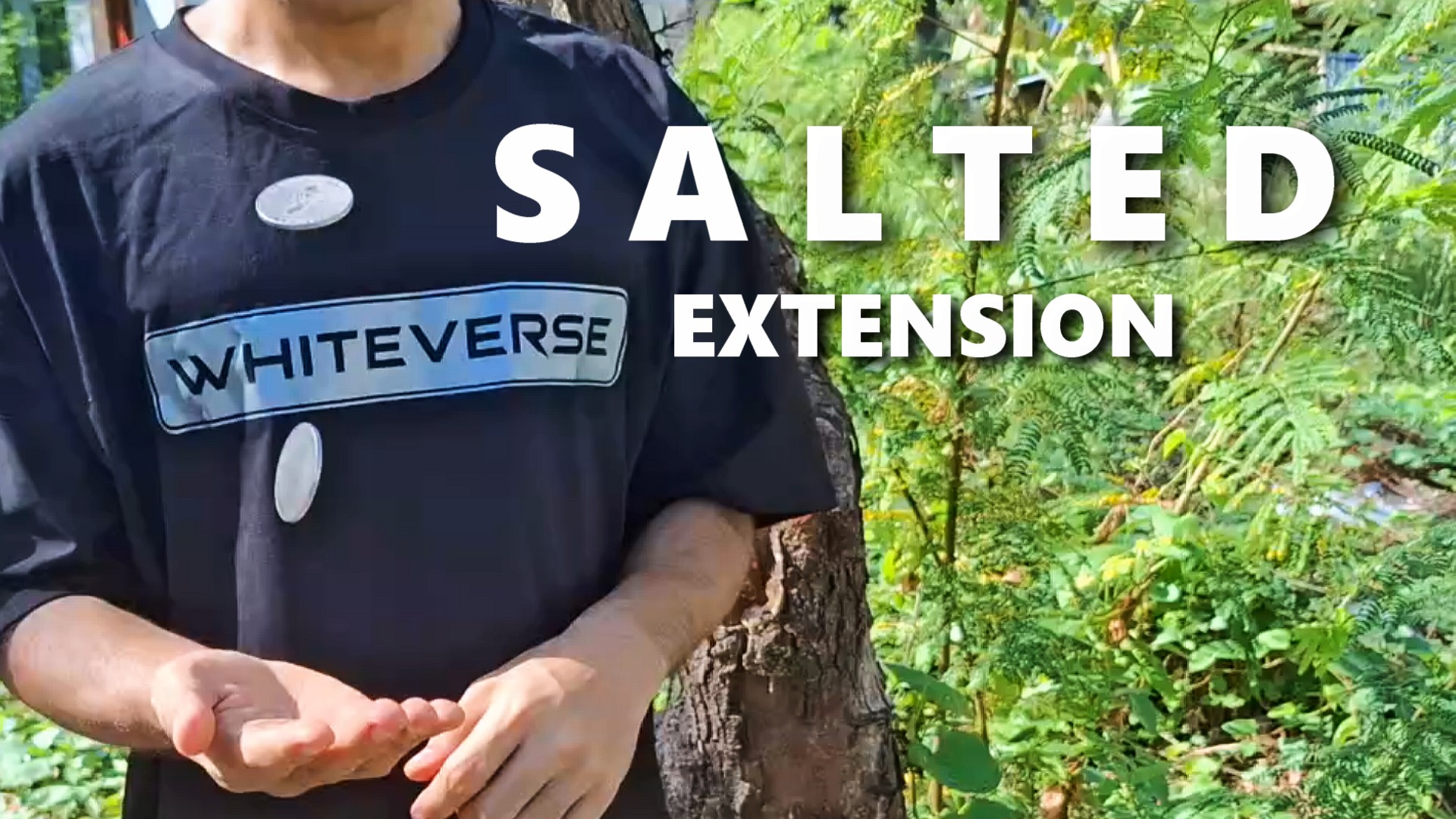 (image for) Ogie - SALTED EXTENSION