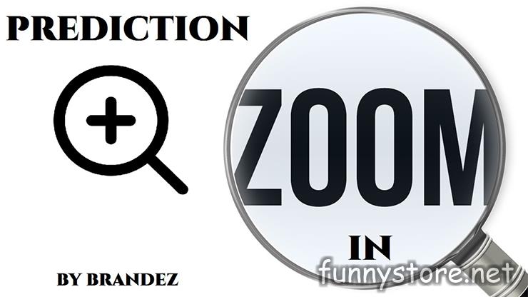 (image for) Brandez - ZooM iN