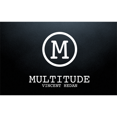 Vincent Hedan and System 6 - Multitude (DVD)