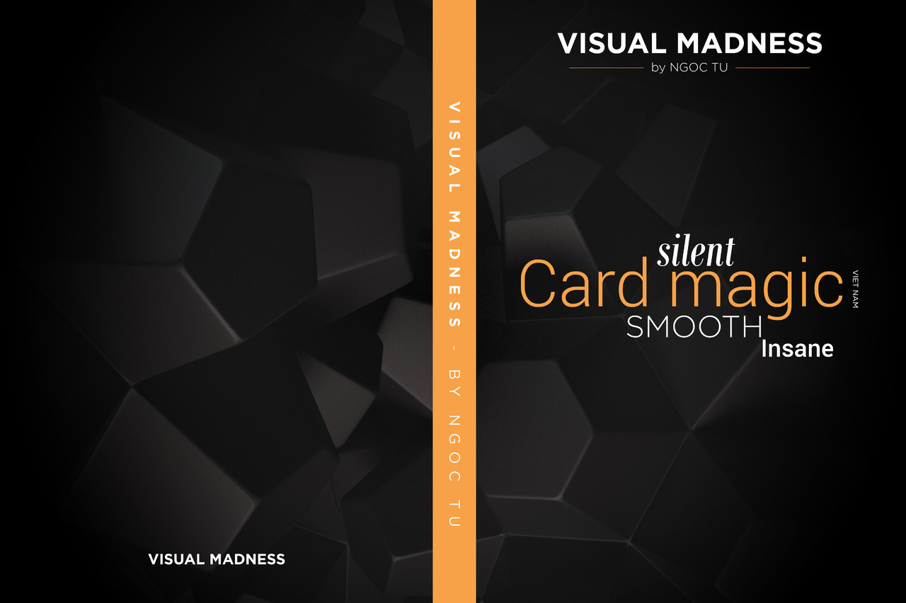(image for) Creative Artists - Visual Madness Vol 2 (DVD)