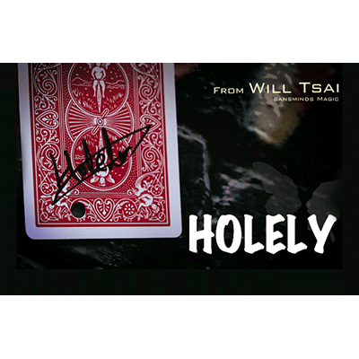 (image for) Will Tsai and SansMindss - Holely (1-2) (DVD)