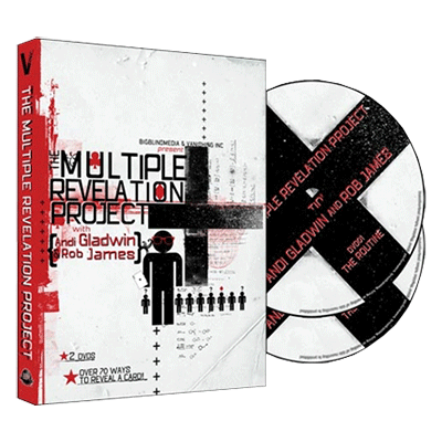 (image for) Andi Gladwin & Rob James - The Multiple Revelation Project (1-2) (DVD)
